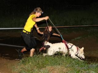 Czech Dog Run – Military