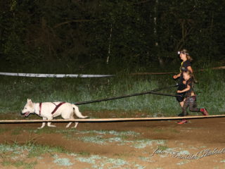 Czech Dog Run – Military