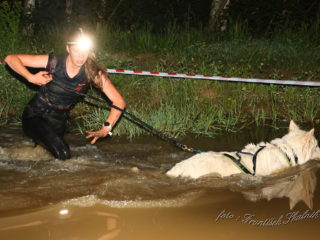 Czech Dog Run – Military