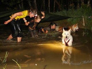 Czech Dog Run – Military