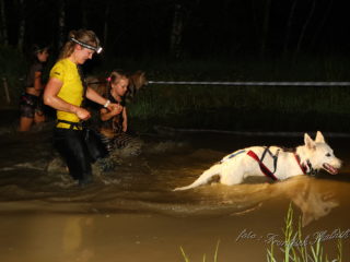 Czech Dog Run – Military