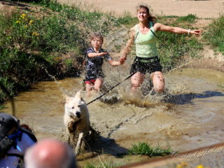 Czech Dog Run – Military