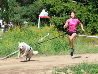 Czech Dog Run – Military