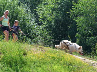 Czech Dog Run – Military 2024