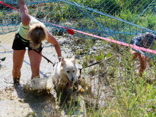 Czech Dog Run – Military