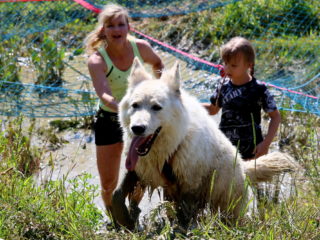 Czech Dog Run – Military