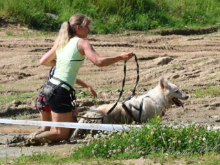 Czech Dog Run – Military