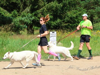 Czech Dog Run – Military