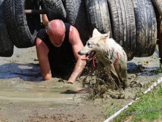 Czech Dog Run – Military