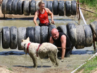 Czech Dog Run – Military