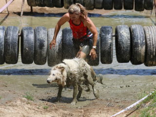 Czech Dog Run – Military