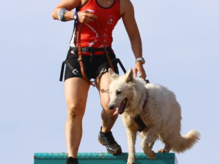 Extreme Dog Race Opatov 2024