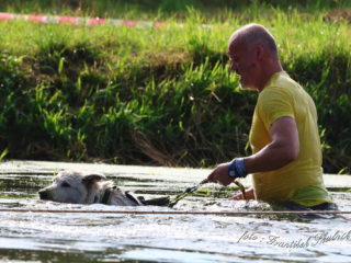 Extreme Dog Race Opatov 2024