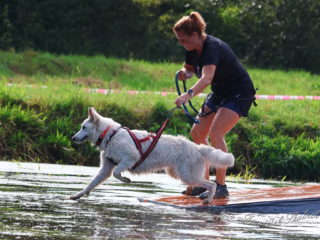 Extreme Dog Race Opatov 2024