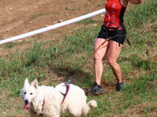 Extreme Dog Race Opatov 2024