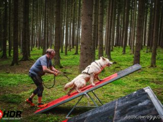 Hard Dog Race Pacov 25.5.2024