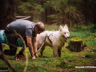 Hard Dog Race Pacov 25.5.2024