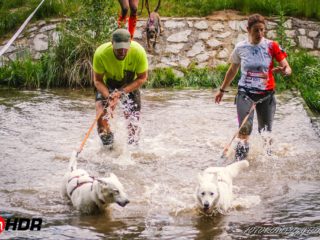 Hard Dog Race Pacov, 25.5.2024