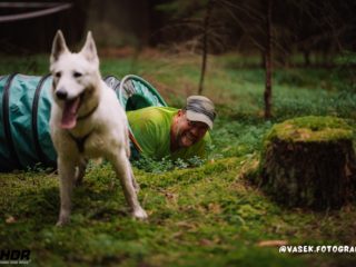 Hard Dog Race Pacov, 25.5.2024