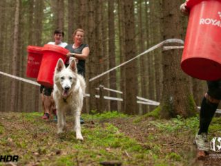 Hard Dog Race Pacov 25.5.2024