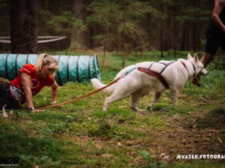 Hard Dog Race Pacov 25.5.2024