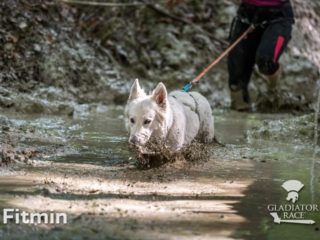 Gladiator Race Dog, Holice 26.5. 2024