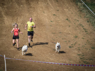 Extreme Dog Race Opatov 2024