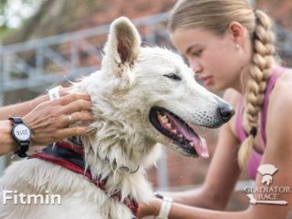 Gladiator Race Dog Josefov