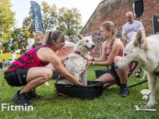 Gladiator Race Dog Josefov