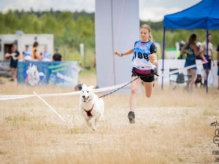 Extreme Dog Race – DogBiatlon & DogTriatlon 2024