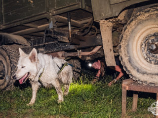 Czech Dog Run – Military