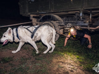 Czech Dog Run – Military