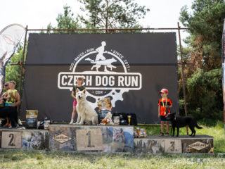 Czech Dog Run – Military 2024