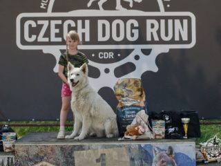 Czech Dog Run – Military 2024