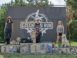 Czech Dog Run – Military