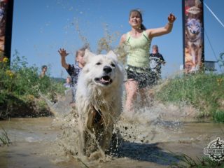 Czech Dog Run – Military