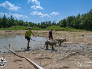 Czech Dog Run – Military