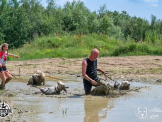 Czech Dog Run – Military