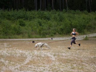 Extreme Dog Race – DogBiatlon & DogTriatlon 2024