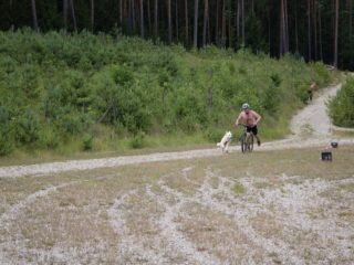 Extreme Dog Race – DogBiatlon & DogTriatlon