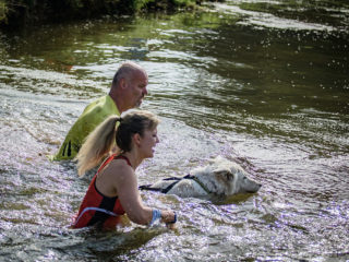 Extreme Dog Race Opatov 2024