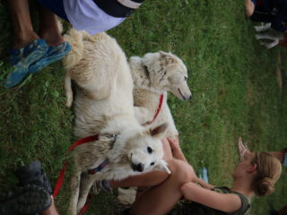 Extreme Dog Race Opatov 2024