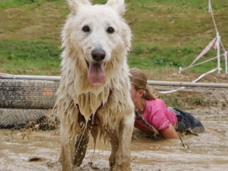 Extreme Dog Race Opatov 2024