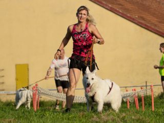 Gladiator Race Dog Josefov 2024