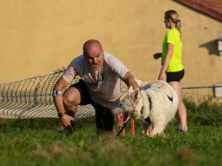 Gladiator Race Dog Josefov