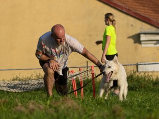 Gladiator Race Dog Josefov