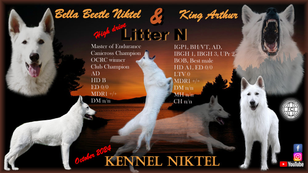 Litter “N” Niktel (CZ)