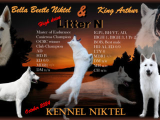 Litter “N” Niktel (CZ)