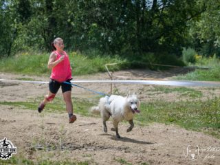 Czech Dog Run – Military