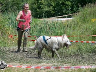 Czech Dog Run – Military